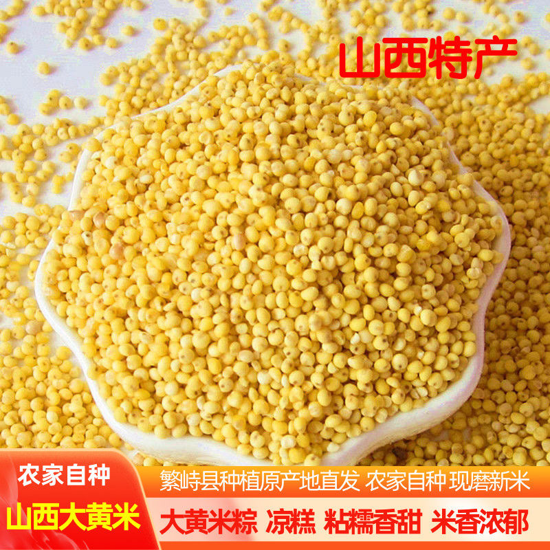 山西特产大黄米新米食用粘新鲜黏黄糯小米农家黍糜纯粘包粽子杂粮