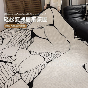 防水抗污不规则硅藻丝异形地毯客厅沙发毯高级轻奢卧室黑白床边毯