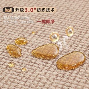 厨房地垫防滑防油可擦免洗专用脚垫门口家用高端防水耐脏全铺地毯