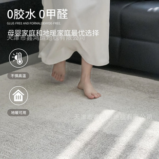 无胶防水客厅地毯免洗可擦抑菌现代简约轻奢高级感地毯卧室床边毯