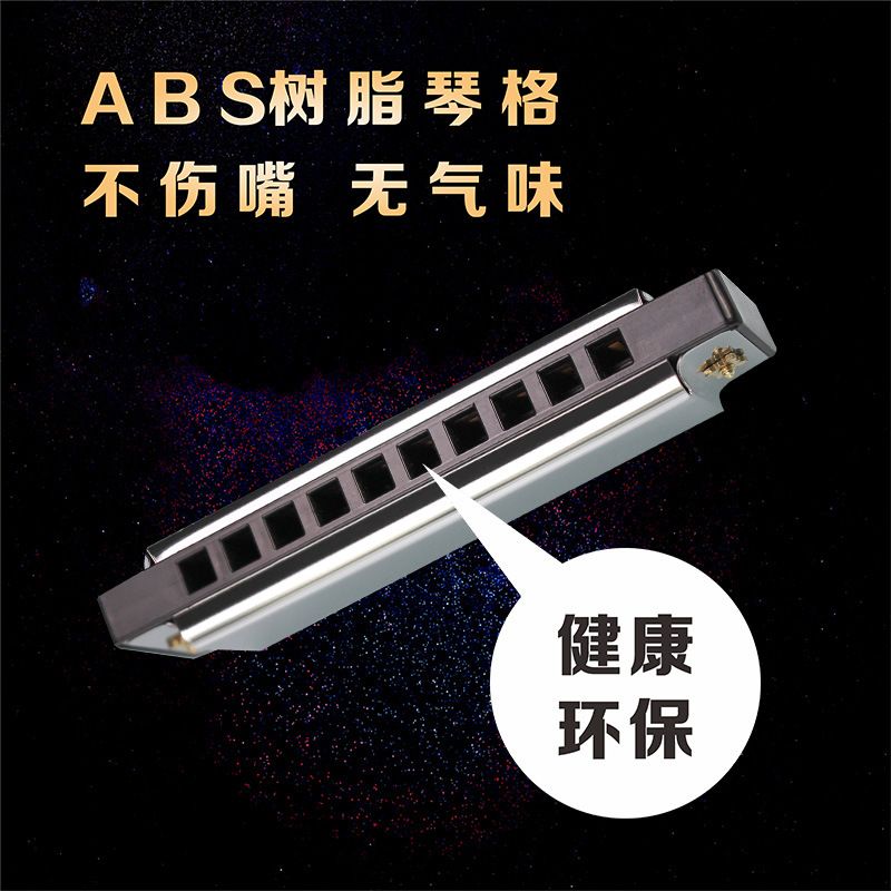 10孔布鲁斯口琴C调儿童学生初学玩具乐器可雕刻logo