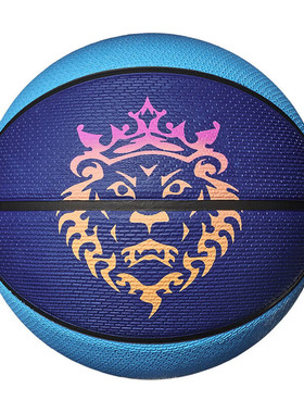 耐克2.0 8PL JAMES DEFLATED7号标准室内外比赛篮球N100437242607