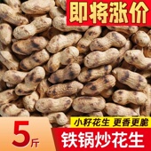 正宗农家新货柴火炒花生铁锅炒制带壳花生原味炒熟零食炒花生