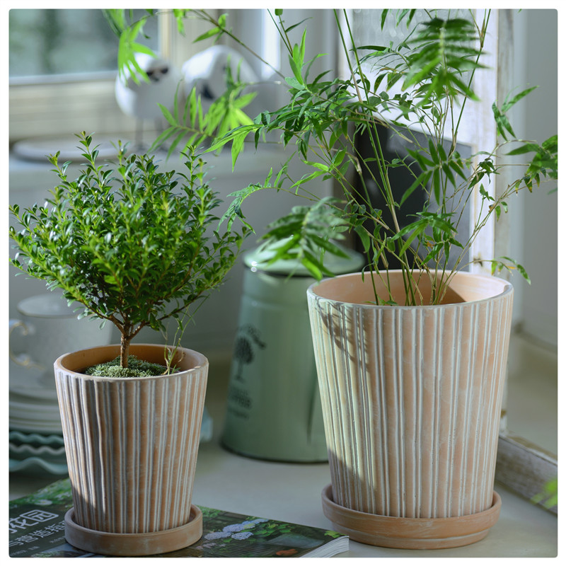 竖纹陶土吸水简约风长阳树花盆