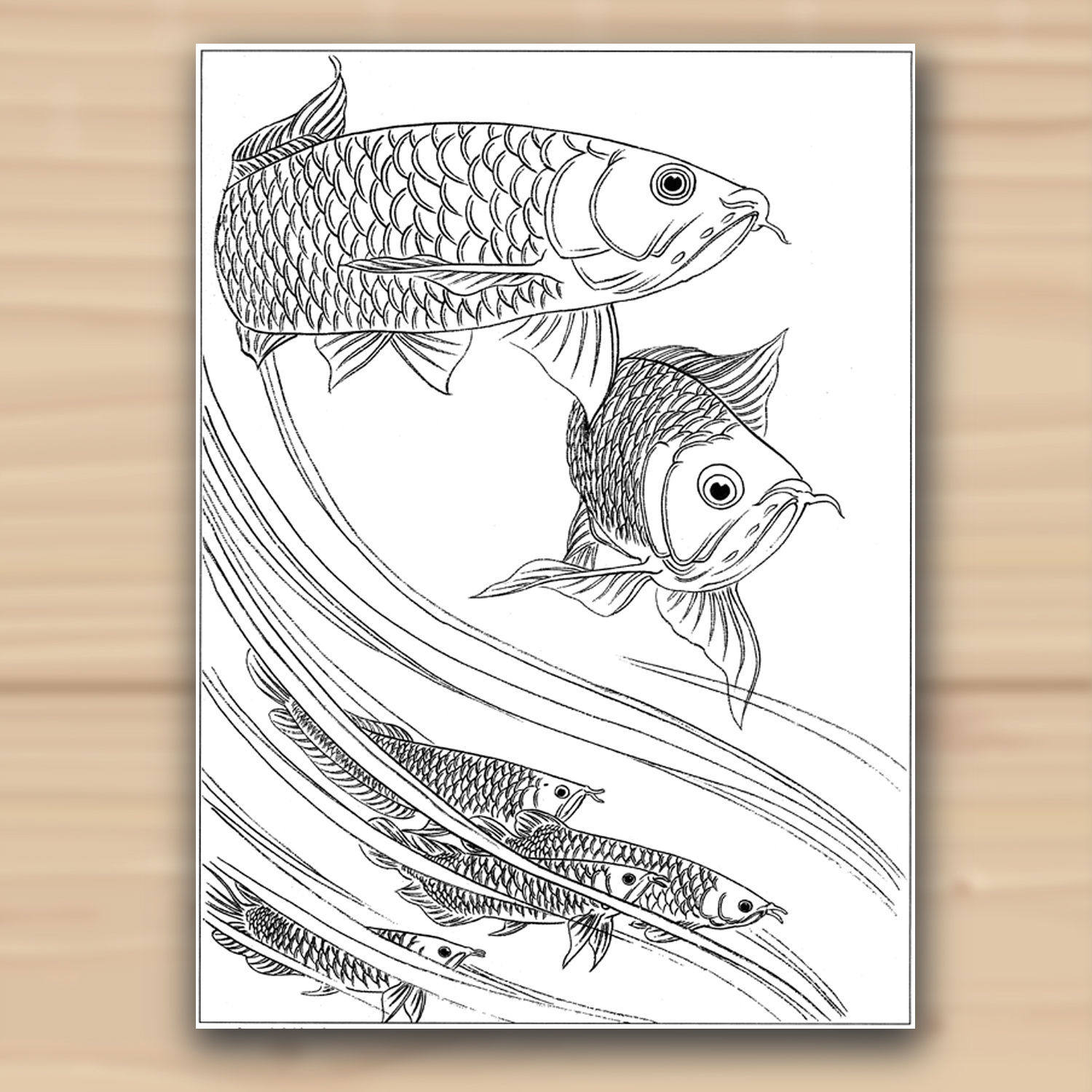 鱼工笔画白描底稿线稿高清实物打印普通纸宣纸绘画纸16幅