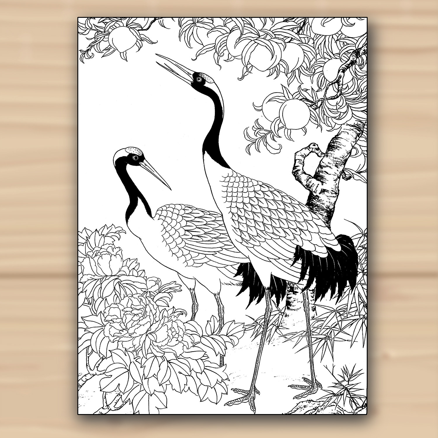 工笔白描仙鹤画谱黑白图集中国画线描初学入门练习临摹范本