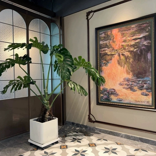 大叶精品龟背竹盆栽高庄老庄客厅绿植四季常青净化空气一物一拍