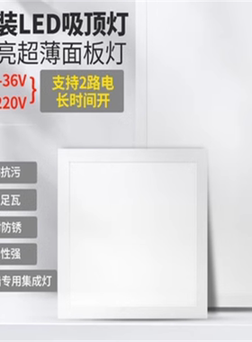 明装300X600MM 船舶交直流12V/24V和220V两用电压LED平板灯集成灯