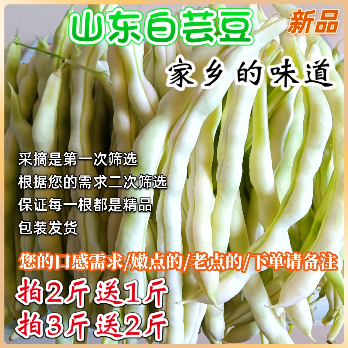 芸豆新鲜山东寿光蔬菜白不老