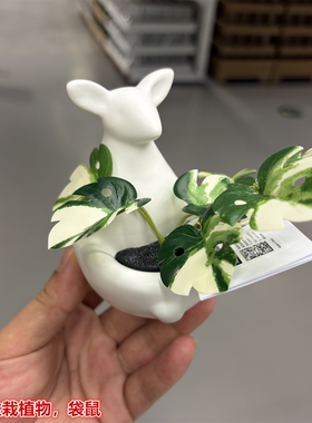 IKEA宜家 菲卡 人造盆栽植物装饰摆件白色袋鼠底座仿真绿植假花