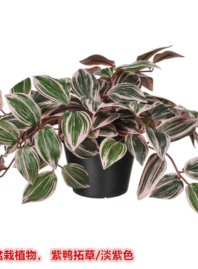 IKEA宜家 菲卡 人造盆栽植物淡紫色紫鸭拓草仿真绿植装饰假花