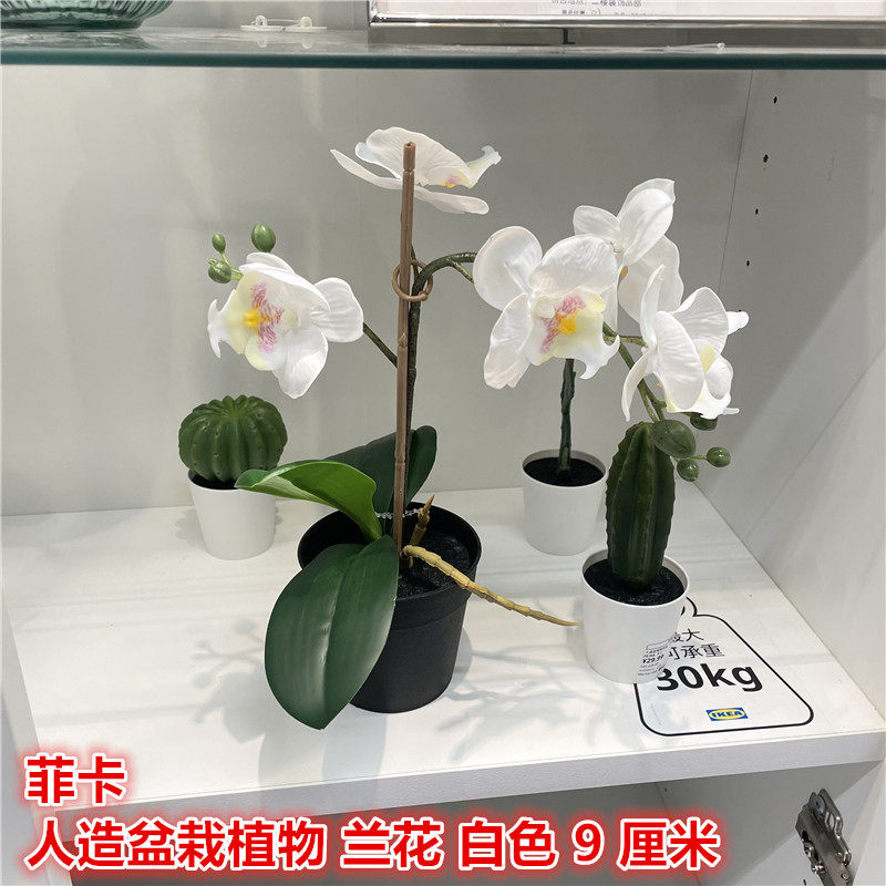 IKEA宜家 菲卡 人造盆栽植物兰花家居公司装饰假花仿真花白色9CM