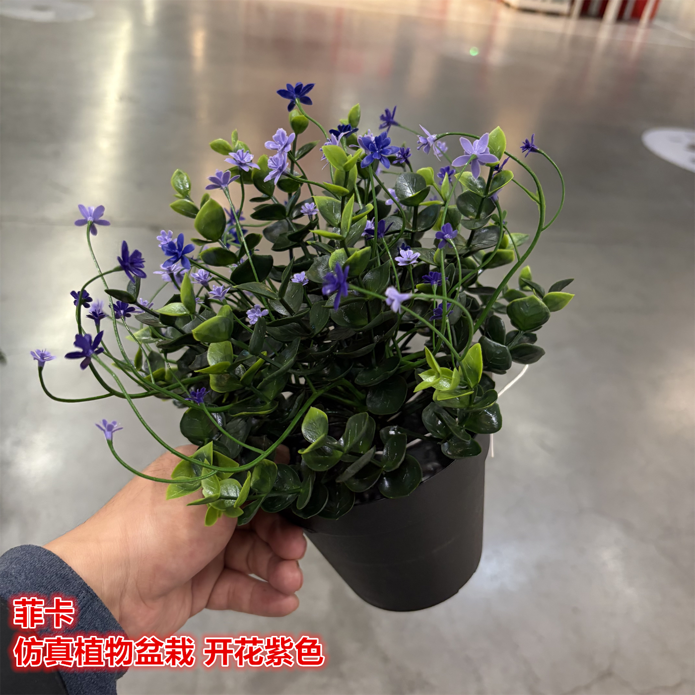 IKEA宜家 菲卡 开花仿真植物盆栽紫色装饰装扮假花人造花栩栩如生