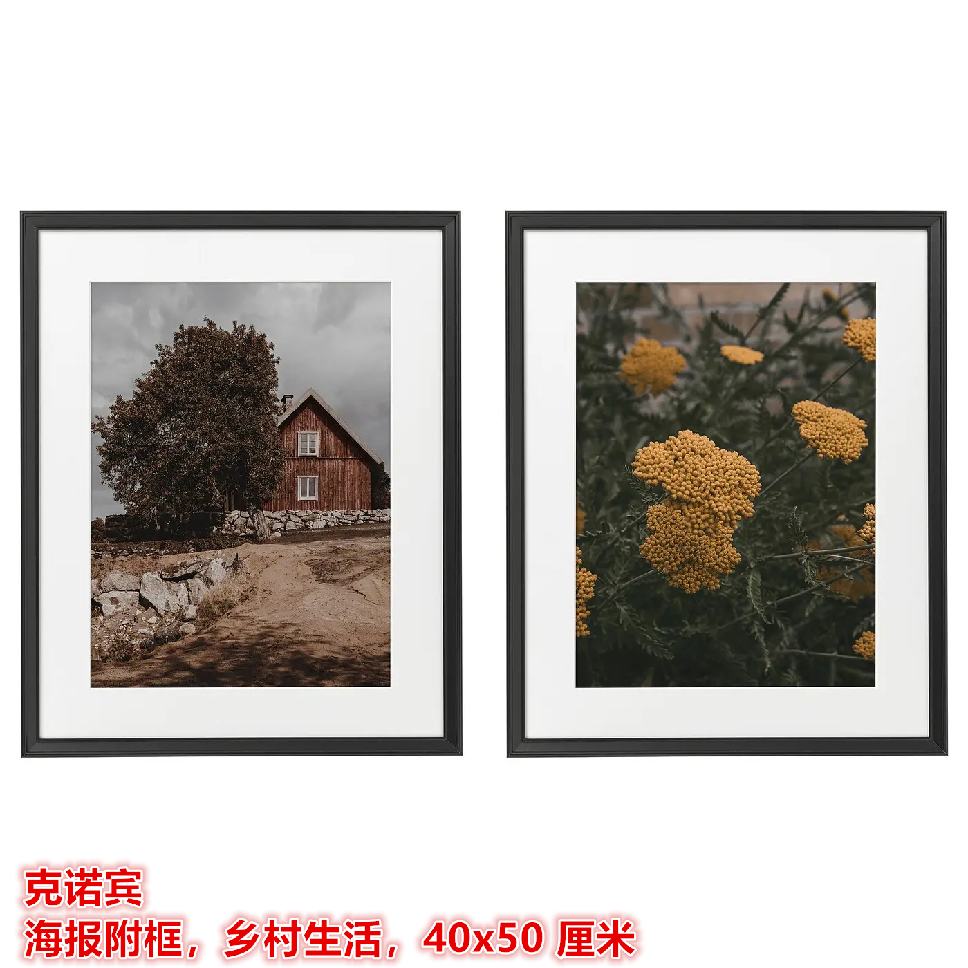 IKEA宜家  克诺宾 海报附框乡村生活墙壁装饰画挂画背景装扮画框