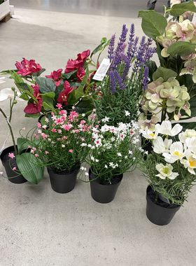 IKEA宜家 菲卡 人造盆栽植物仿真花装饰假花栩栩如生装扮摆件小花