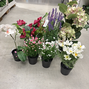 IKEA宜家 菲卡 人造盆栽植物仿真花装饰假花栩栩如生装扮摆件小花