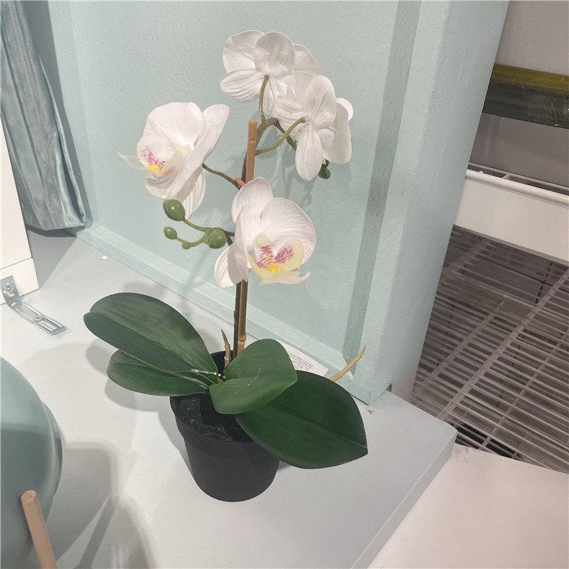 IKEA宜家 菲卡 人造盆栽植物仿真兰花公司家居装饰假花人造花