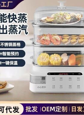 跨境外贸电蒸锅外置加水大容量家用多功能一体全自动电蒸箱早餐机