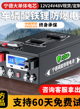 【人民保险】宁德房车专用大容量磷酸铁锂电池12v24v48伏单体电芯