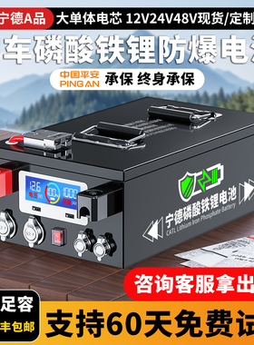 【人民保险】宁德房车专用大容量磷酸铁锂电池12v24v48伏单体电芯