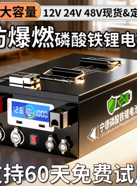 【人民保险】宁德房车专用大容量磷酸铁锂电池12v24v48伏单体电芯
