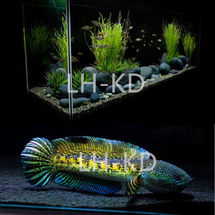 黑金沙水草沙化妆沙南美溪流缸溪流沙造景黑沙鱼缸沙底砂水草沙