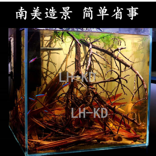 杜鹃根沉木水族箱鱼缸造景