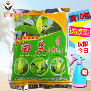 白兰花肥料专用长效通用型复合肥黄角兰玉兰盆栽树苗植物促进开花