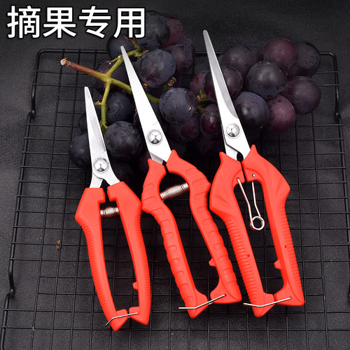 葡萄摘果剪强力修枝省力树枝修花