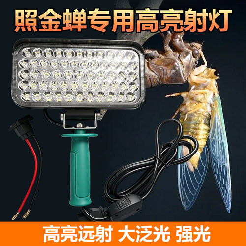 抓爬叉知了龟金蝉专用高亮射灯