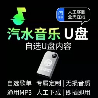 汽水音乐车载U盘可定制自选歌曲车载音乐U盘