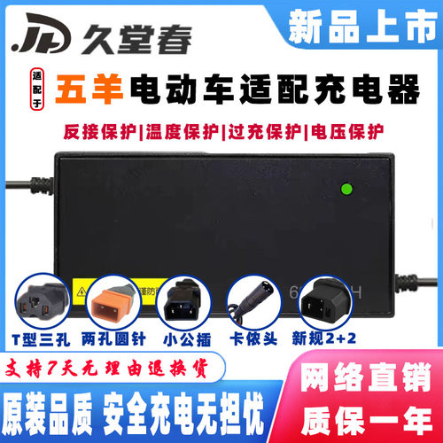 五羊电动车锂电池适配充电器48V