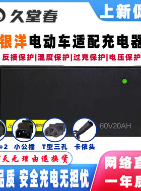 银洋电动车电瓶充电器