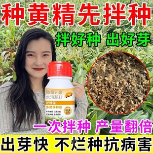 黄精种子催芽剂拌种剂强力催芽生根苗齐苗壮防死棵根腐病专用肥料