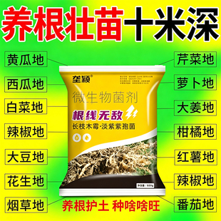 根线净长枝木霉淡紫紫孢菌果树蔬菜大棚冲施型养根护土微生物菌剂
