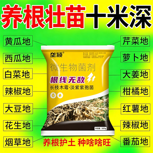 大棚冲施果树蔬菜根线净养根菌剂