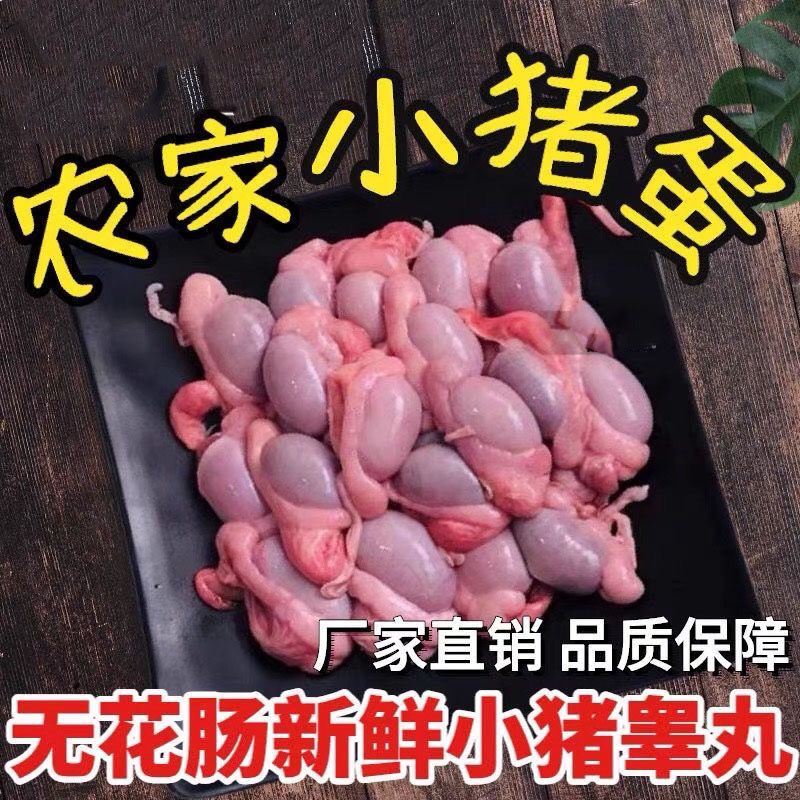 新鲜现摘农家去皮精品乳猪蛋猪睾丸不带花肠猪宝生鲜饭店烧烤食材