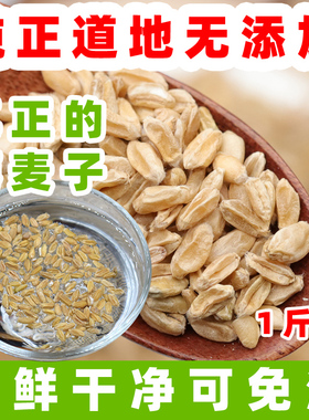 正宗浮小麦新货500g泡水煎汤煮粥喝天然无硫熏浮麦粒瞎麦子瘪麦子