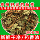 鱼腥草干品新货500g药食两用鱼心草折耳根贵州特产天然野采鱼星草