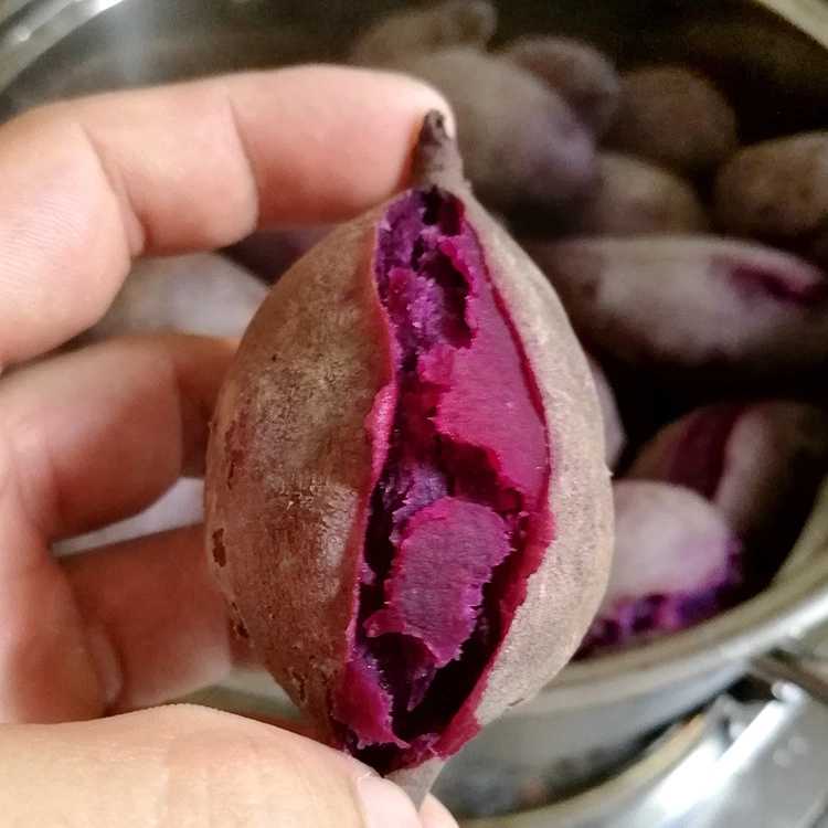 越南迷你小紫薯8斤装广西直发水果批发包邮 新鲜在类目 水产肉类/新鲜蔬果/熟食, 新鲜水果, 其它中 - 来自Buy2taobao.com提供专业的淘宝代购服务