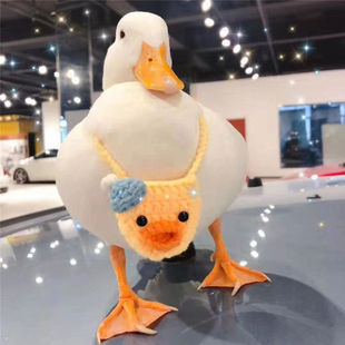 宠物鸭柯尔鸭活物网红鸭子活苗小黄鸭科尔鸭幼仔可达鸭学生好养活