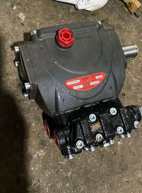 议价大家好，一款来自意大利的Interpump高压柱