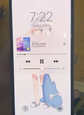 议价iPhonexsmax 橙色9 换过一次原装电池 其他无