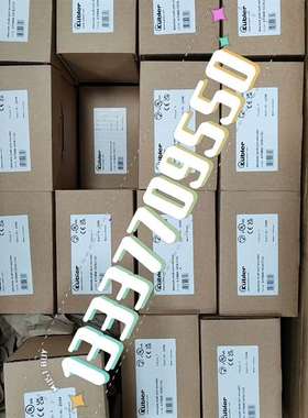 {议价}8.F5868.12CN.C122 库伯勒编码器