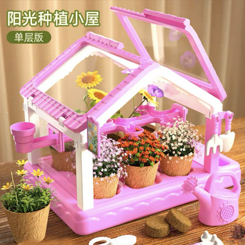 儿童种植小盆栽发芽率高