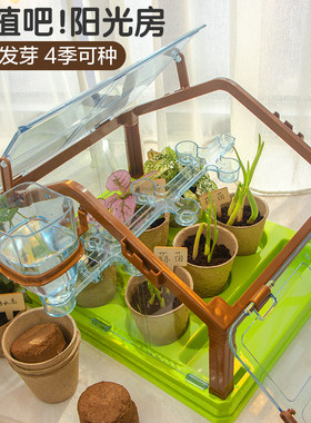 儿童种植植物小盆栽阳光房玩具