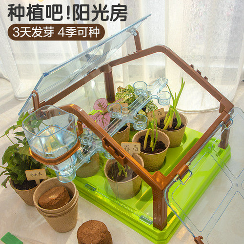 儿童种植植物小盆栽阳光房玩具