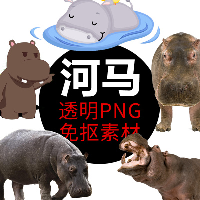 河马  动物 PNG格式免抠照图片卡通高清透明底元素设计表情包素材