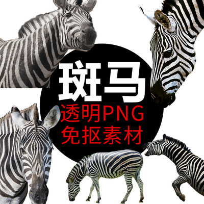 斑纹斑马马纹动物PNG格式免抠图照片卡通高清透明底元素设计素材