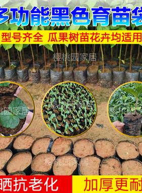 咖啡树苗育苗袋 槟榔营养袋 黑色一次性加厚种植袋 大树苗营养袋